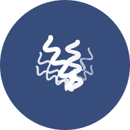 重組抗體表達(dá)項(xiàng)目案例