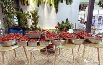 快樂工作，開心生活&mdash;&mdash;普健生物第三屆龍蝦節圓滿結束