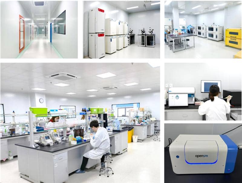 武漢國家生物產(chǎn)業(yè)基地公共服務平臺—光谷抗體發(fā)現(xiàn)與篩選公共服務平臺