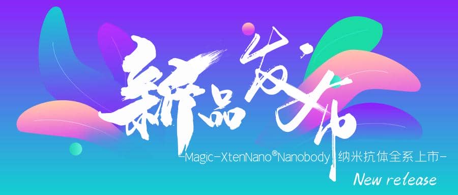 新品發(fā)布|Magic-XtenNano&reg;Nanobody納米抗體全系上市