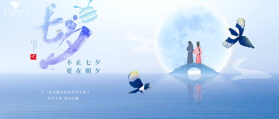 科研人CP指南|誰(shuí)是你的科研搭子？？