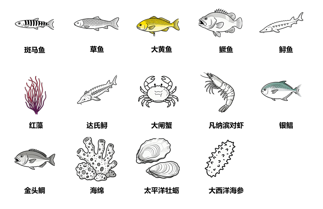 水生生物研究